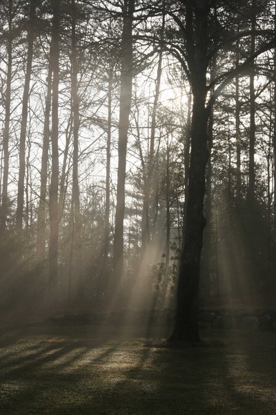 Early Morning