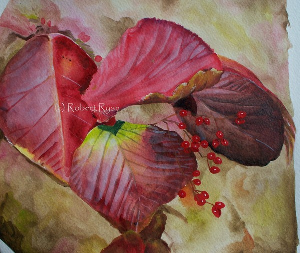 Sumac