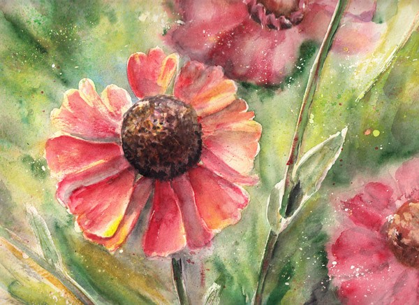 Blossom