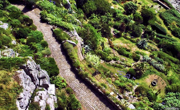 OVERLOOKING THE GARDENS