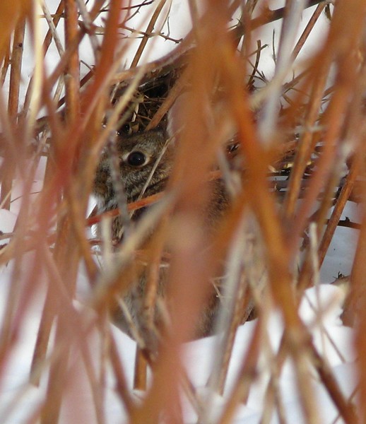 I can see you!!!