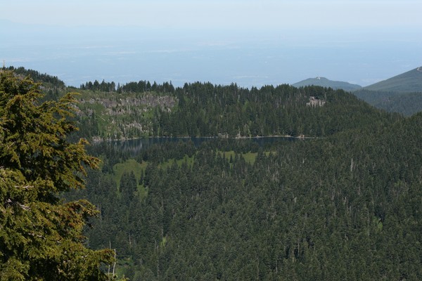 Across the Way