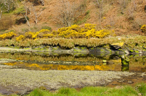 isle of man 1
