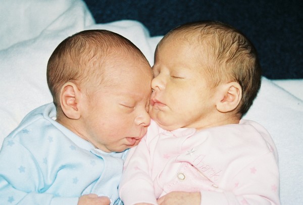 the twins