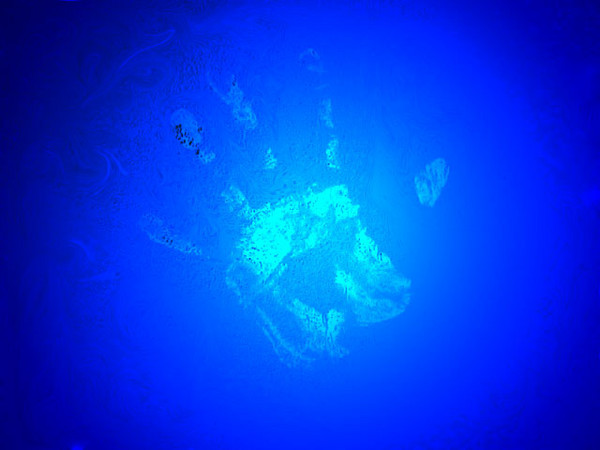 From beyond