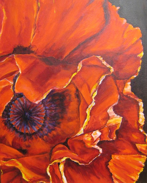 Poppy