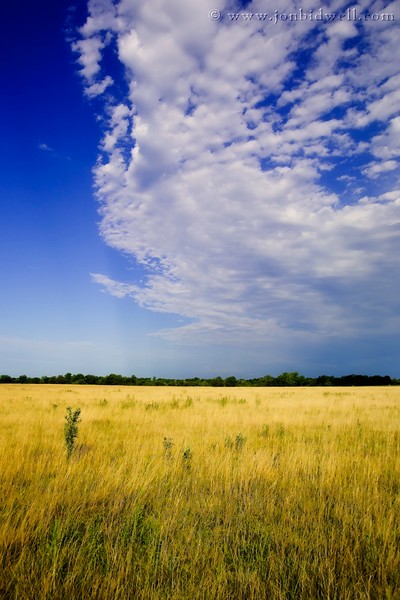 Blue Kansas Sun