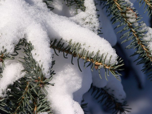 Winterwonderland 2