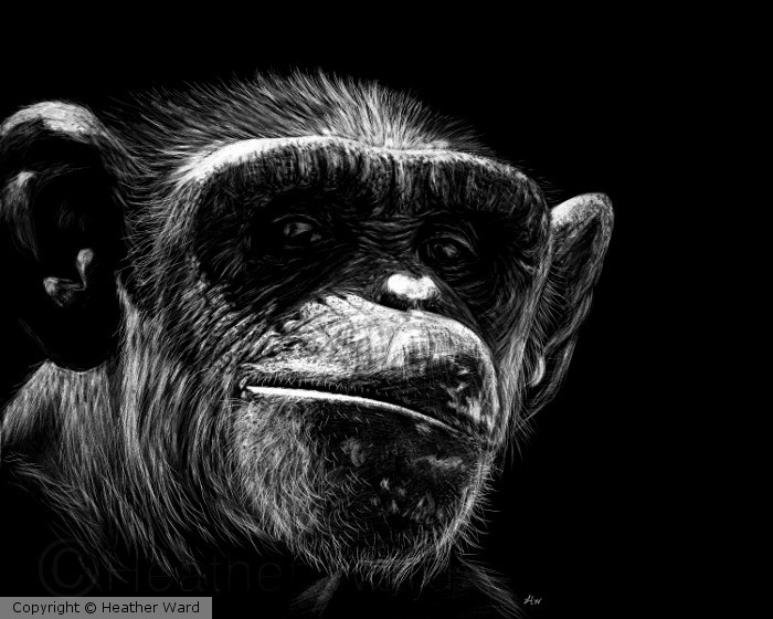 Almost Human