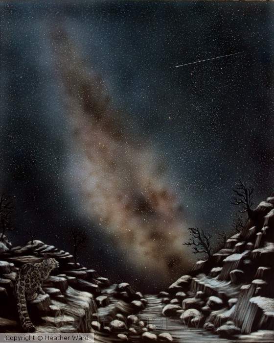 Alone in the Universe