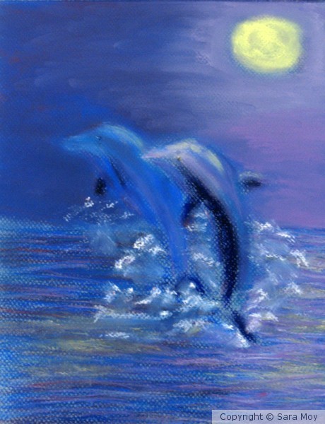 Purple Ocean Dolphins