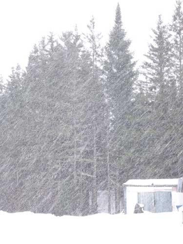 snow shed