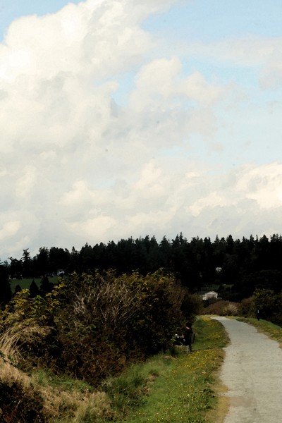 Woman Reading by Walking Path