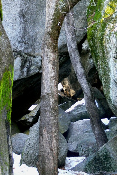Nooks And Crannies 1 (Yosemite)