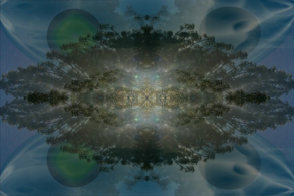 Mystic Tree Mandala (title pending)