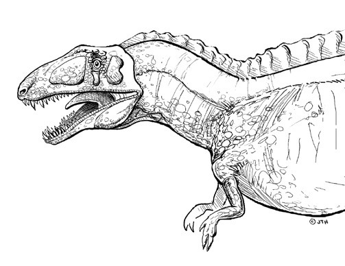 Acrocanthosaurus