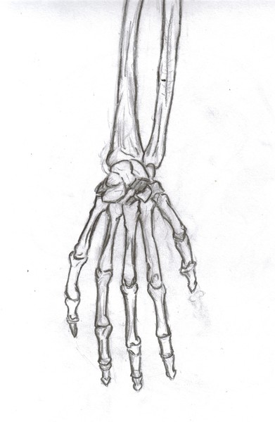 skelly hand