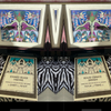 Stained Glass Visions