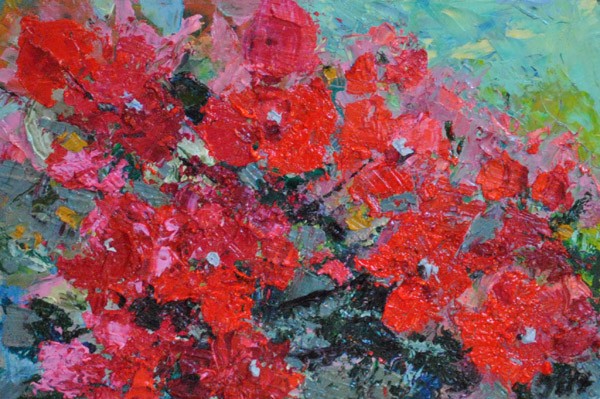 Bougainvillea. Abstract.