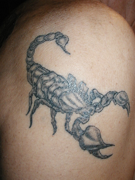 scorpion