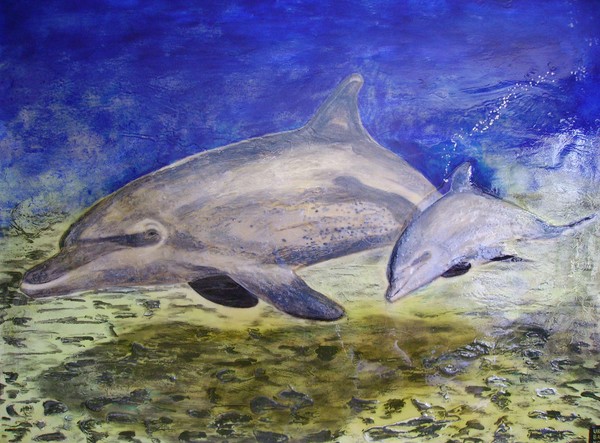 Dolphins