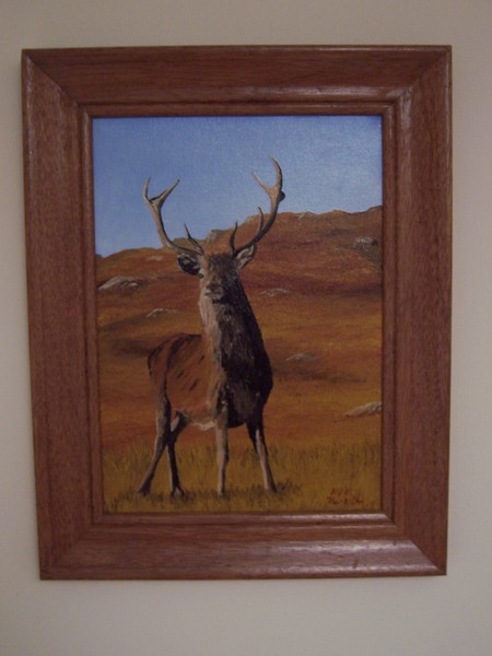 Red Deer Stag