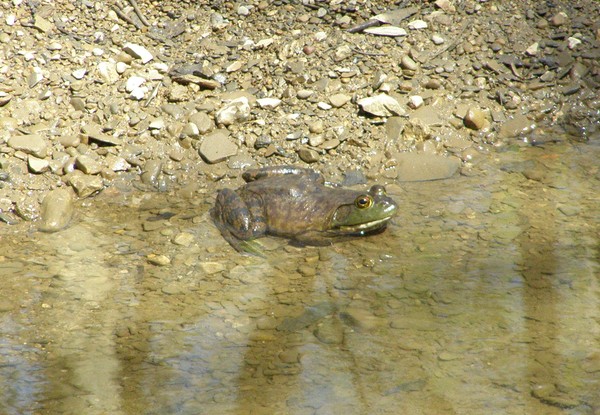 Respite to Reflect