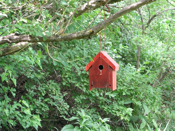 Lil' Creature House