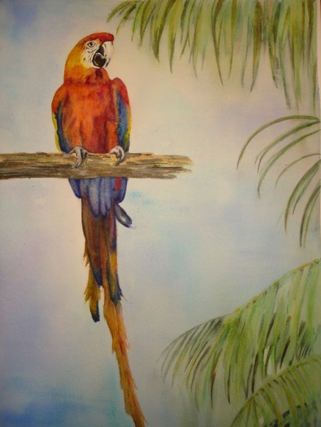 Rainbow Parrot