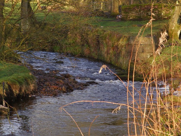 Babbling Brook 2