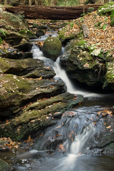 abby ravine