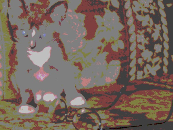 Posterized Carbunkle