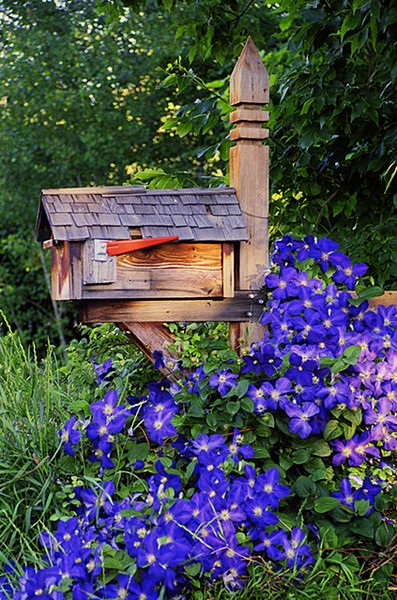 MailBox In Paradise