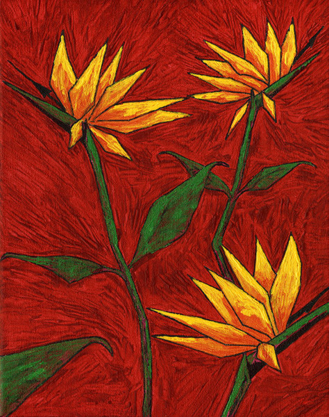 birds of paradise