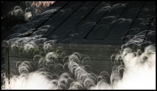 Eclipse Light Shadows 4