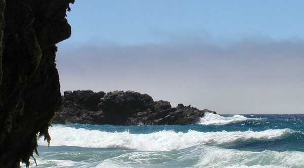 High Tide Waves