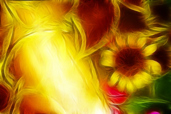 Sunbeams and Sunflower