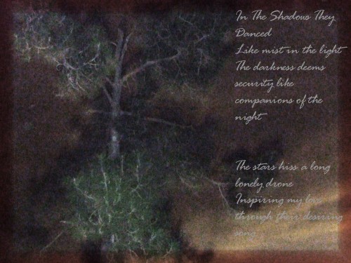 Danced of Shadows