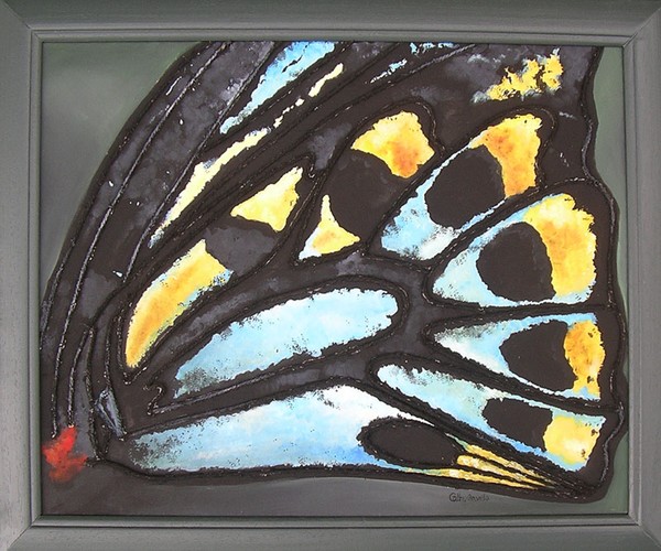 Cairns Butterfly
