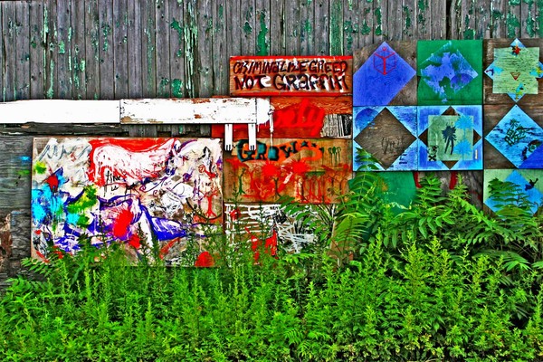 Red Hook Voices