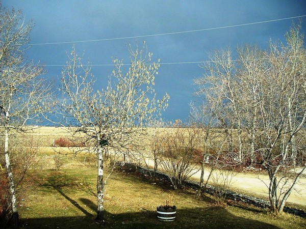 Just before the rain