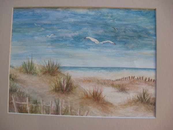 gulls at the beach