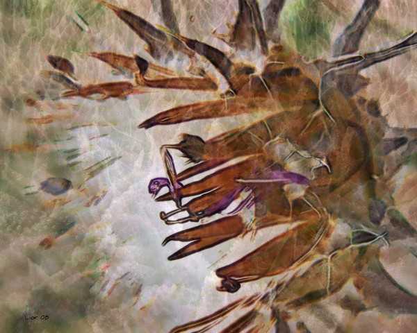 Explorium andante