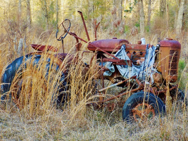 Rust bucket