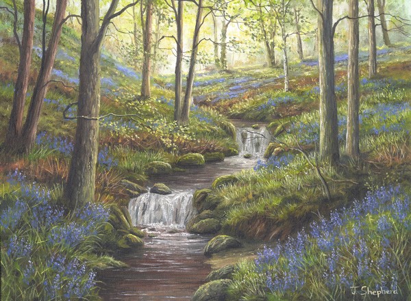 the bluebell stream