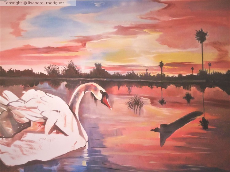 TRANSFIGURATION OF TWILIGHT LAGO ENRIQUILLO D.R. 