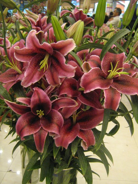 flower