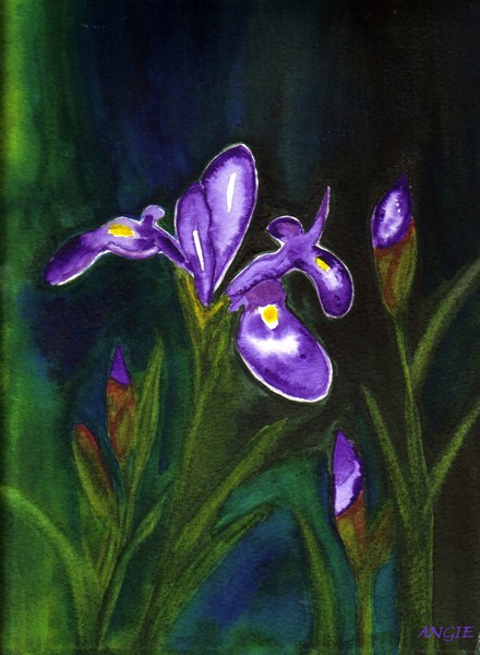 Iris with Buds