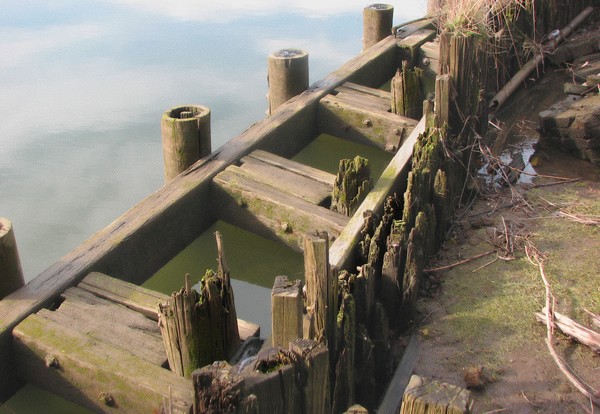 BULWARK