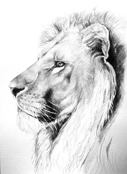 Aslan